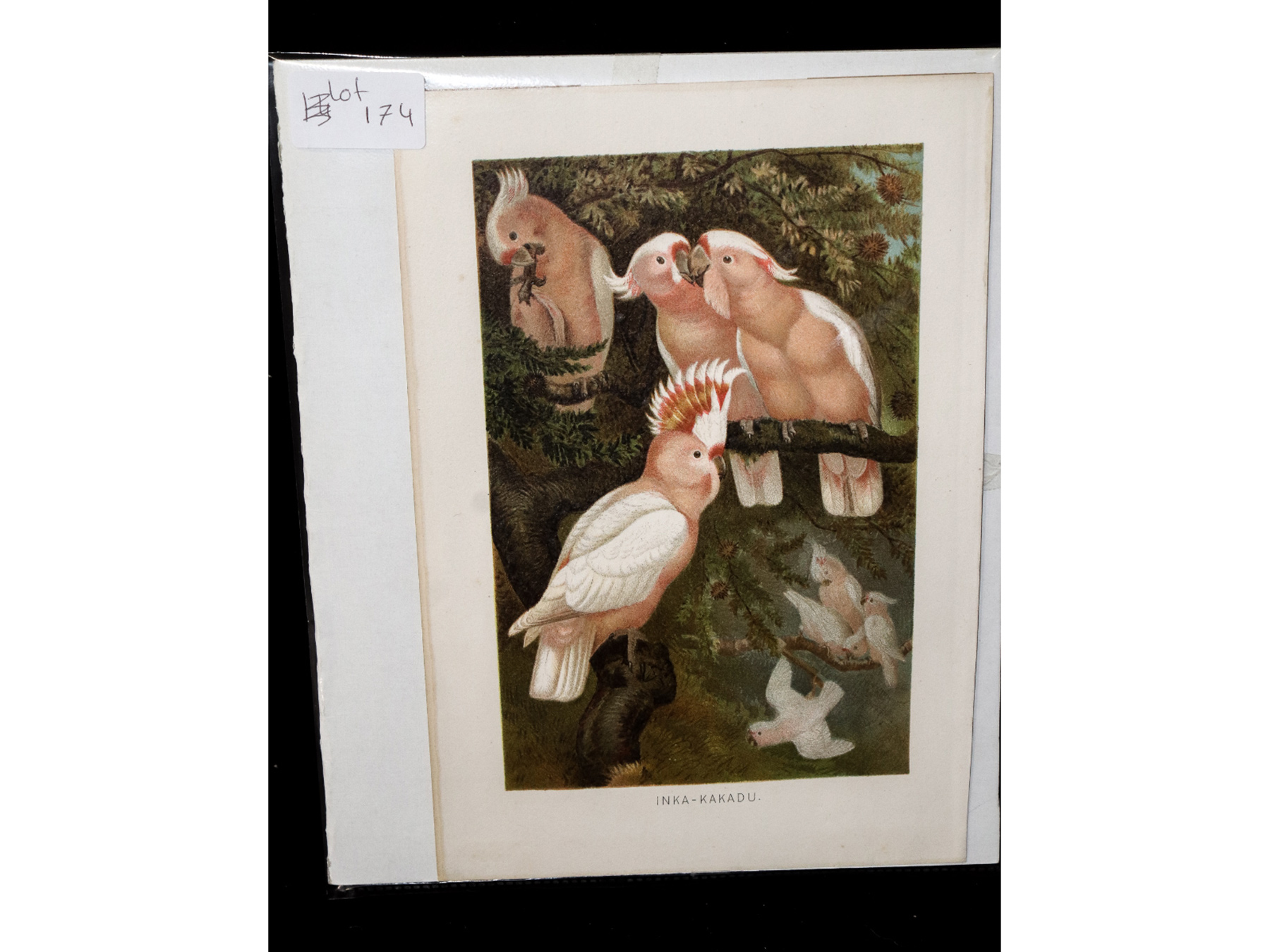 Lot 174 - Image 2