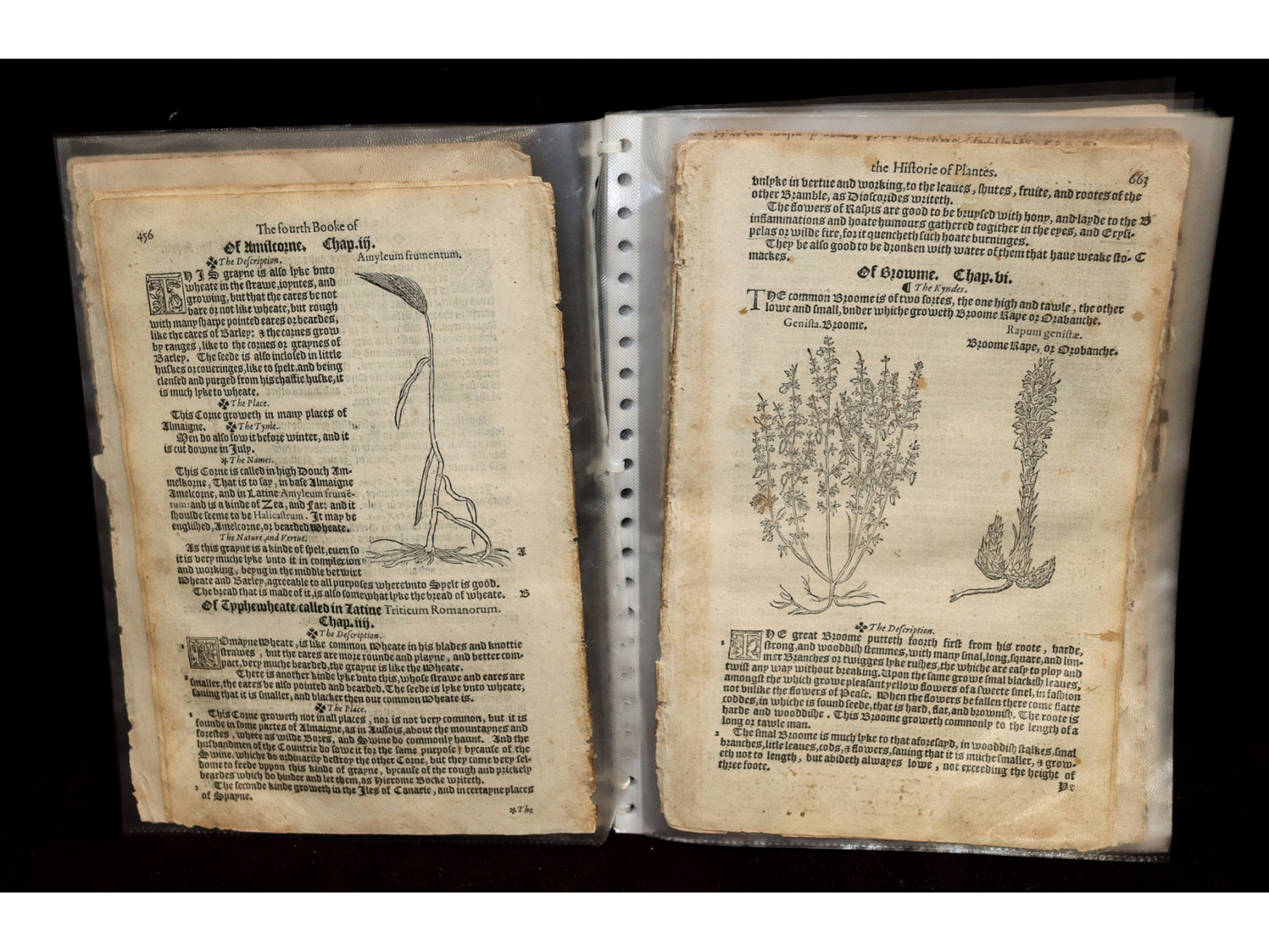 Lot 376 - Image 2