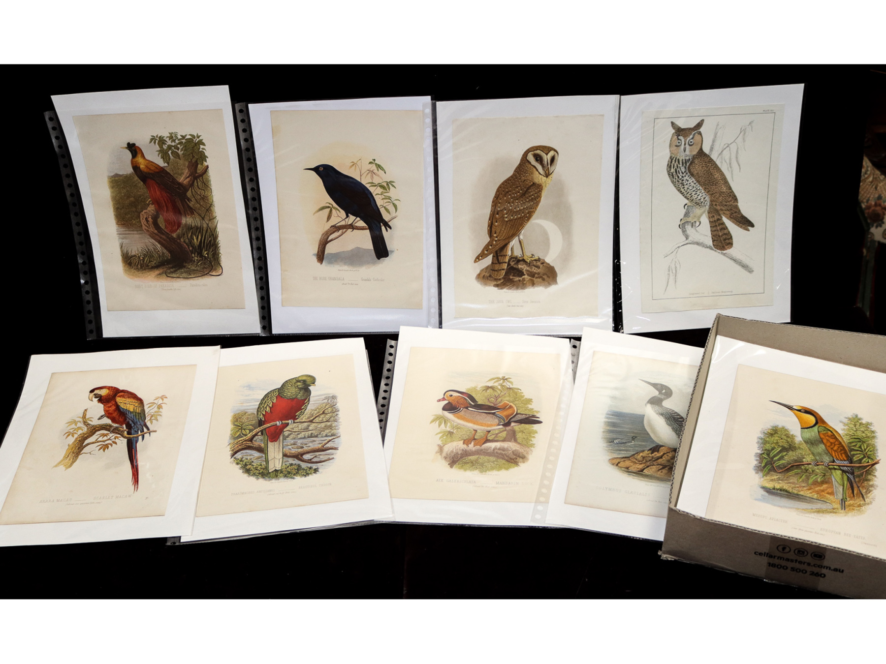 Lot 429 - Image 2