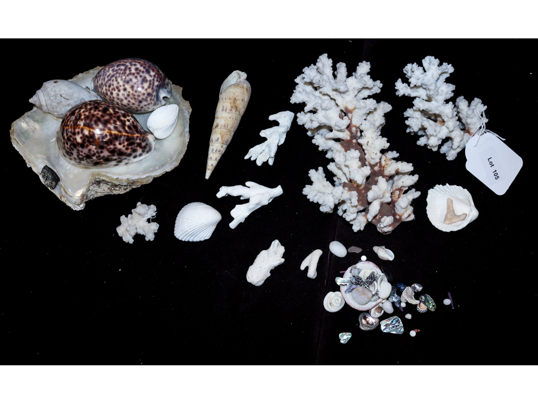 Lot 105 - Image 2