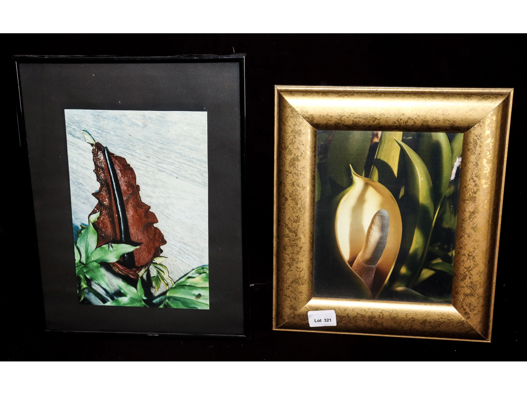 Lot 321 - Image 2
