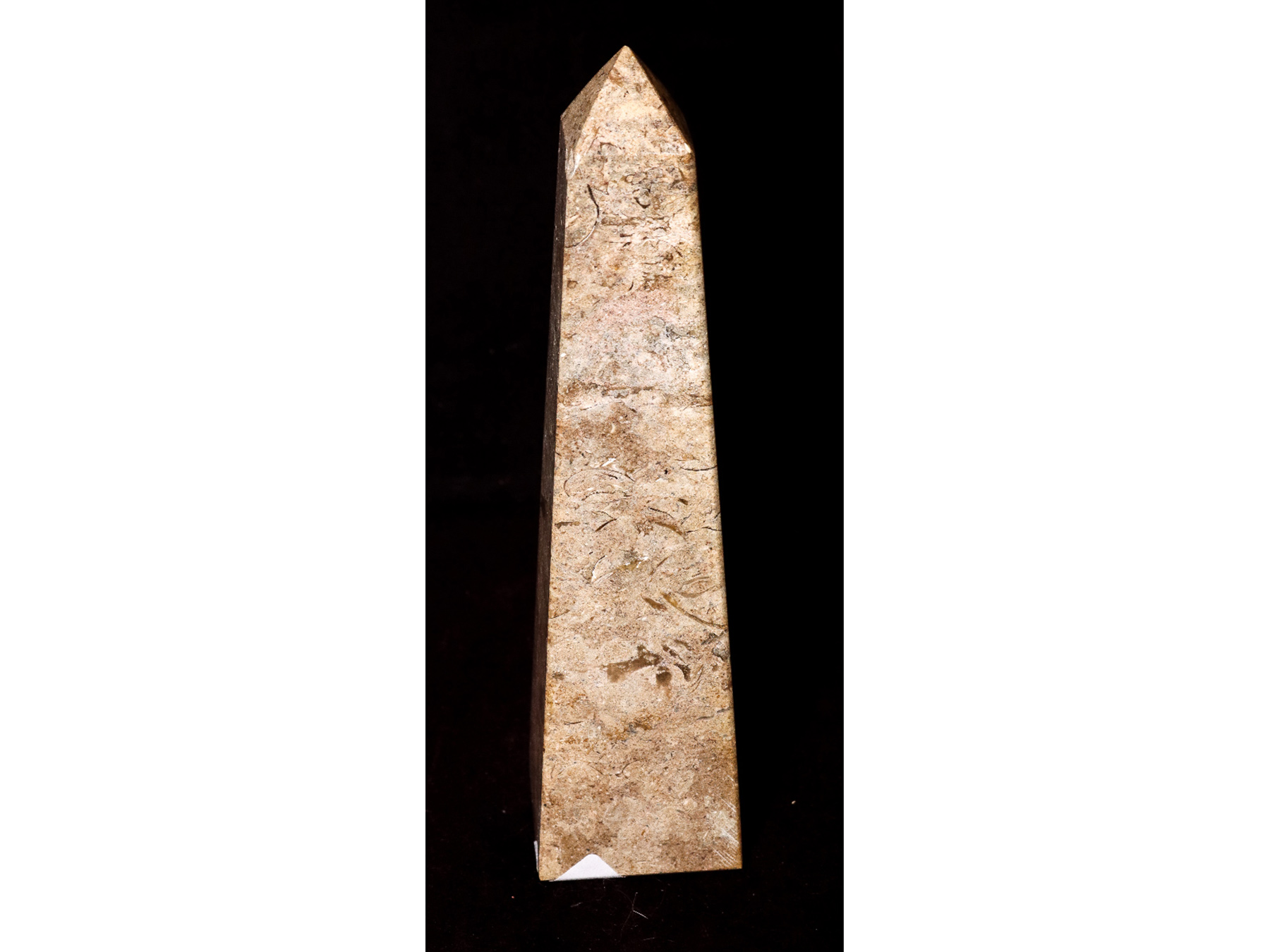 Lot 218 - Image 2