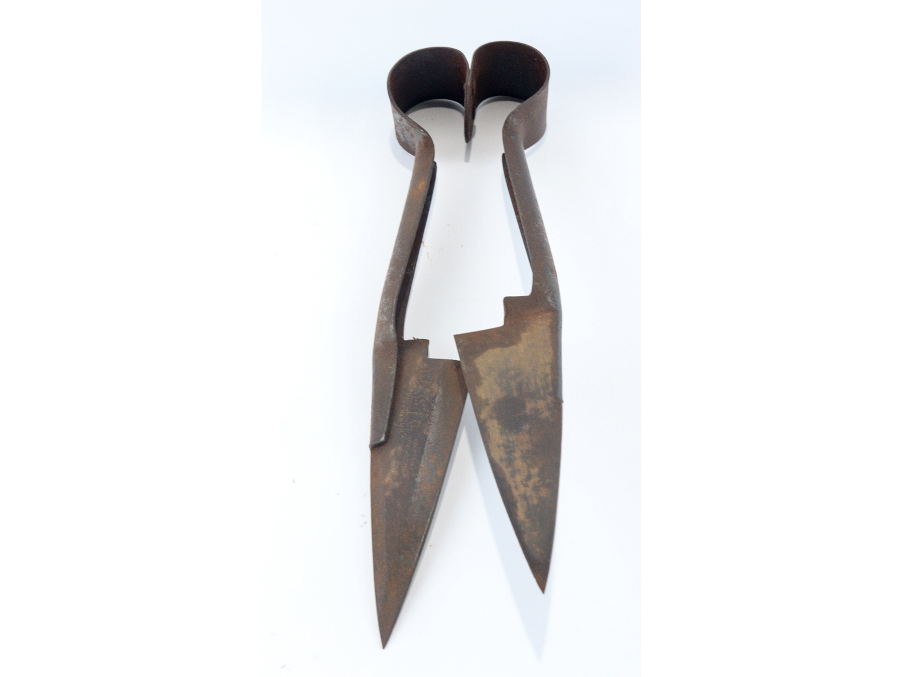 Antique Sheep Shears