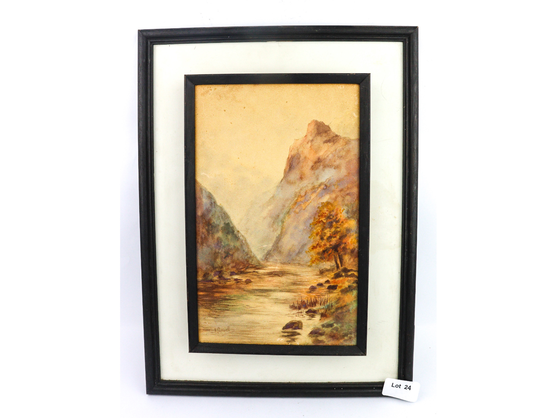 Lot 24 - Image 2