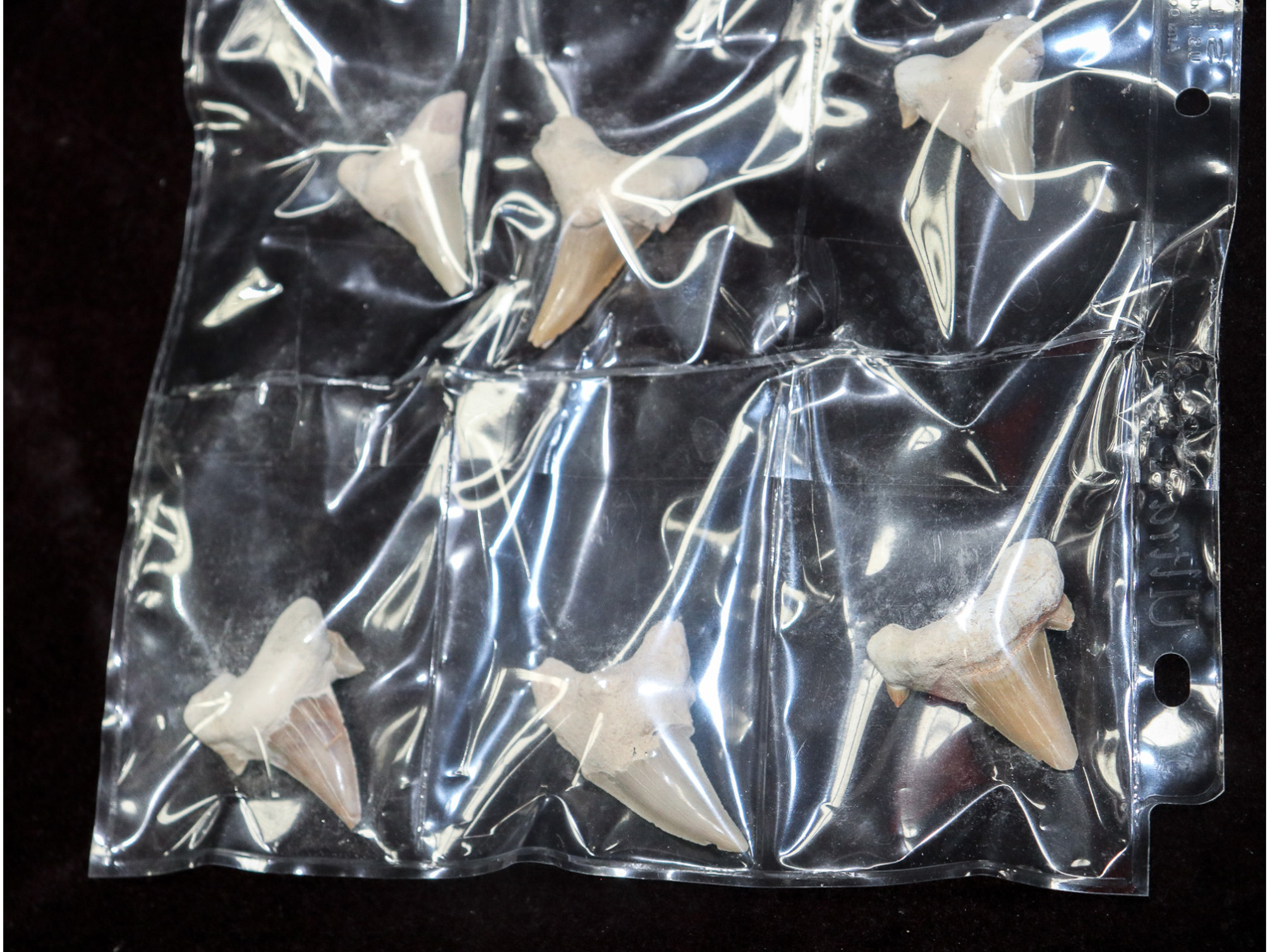 Lot 229 - Image 2