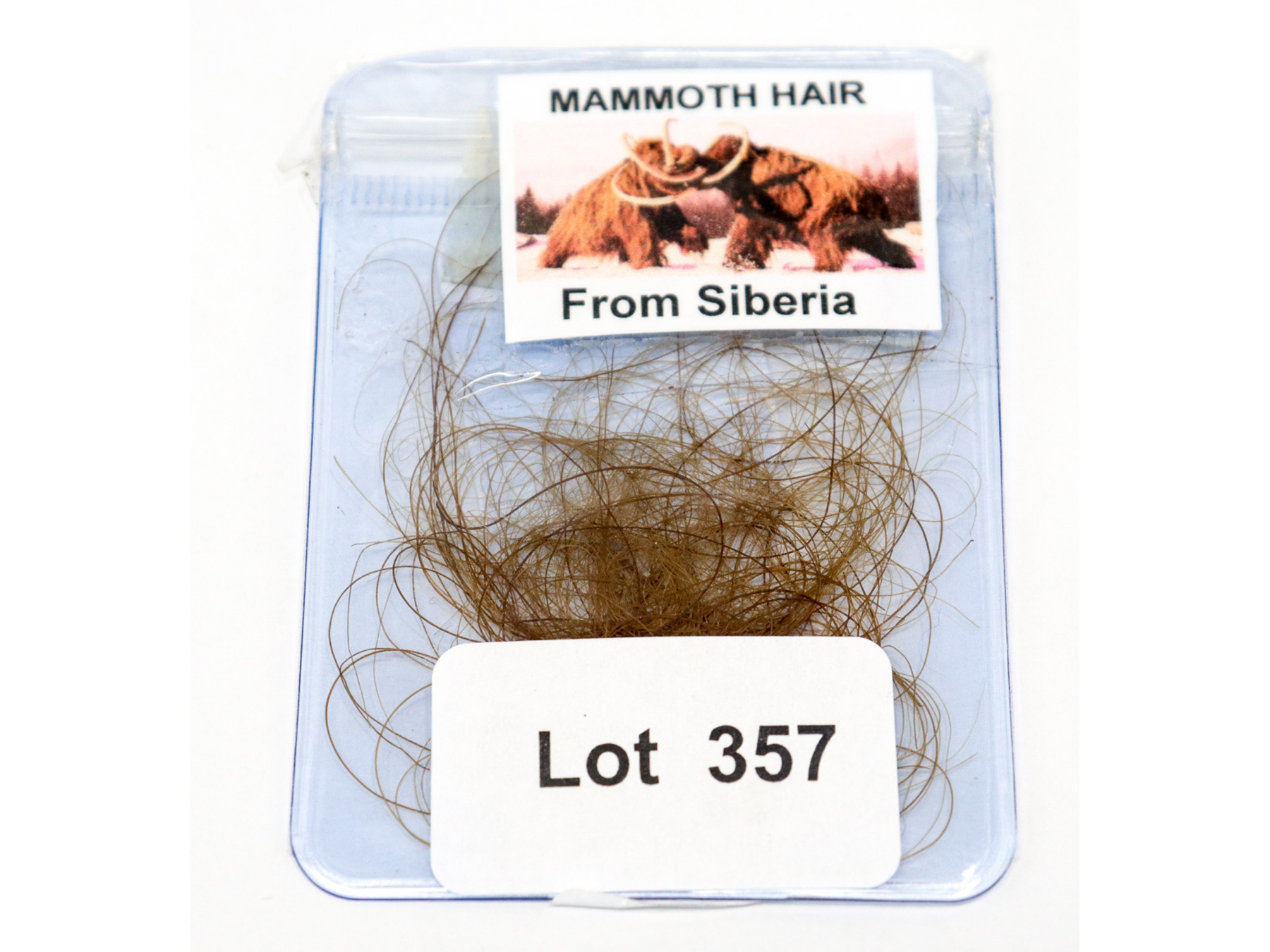 Lot 357 - Image 2