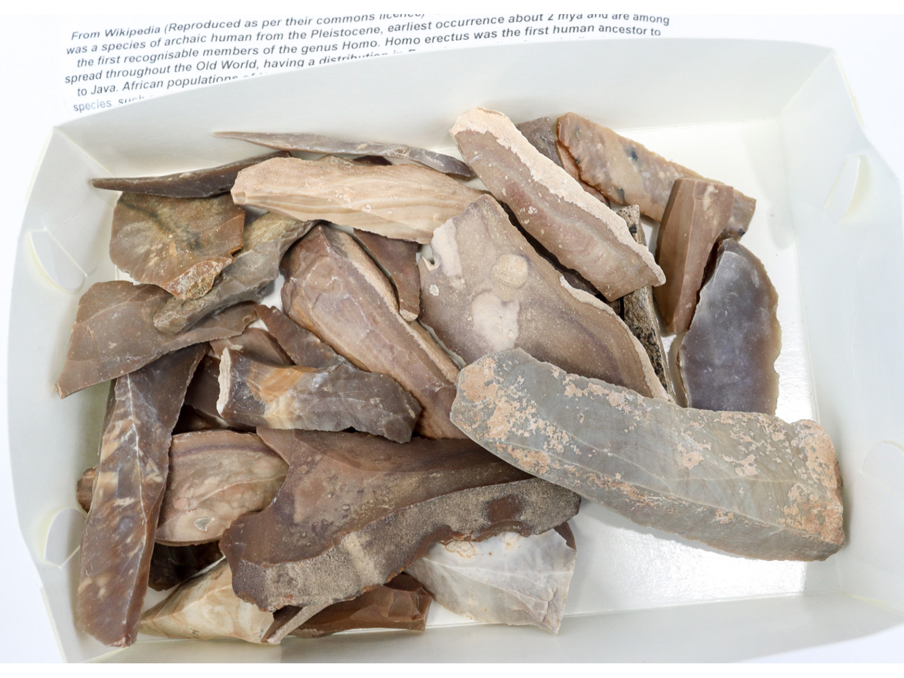 Lot 370 - Image 2