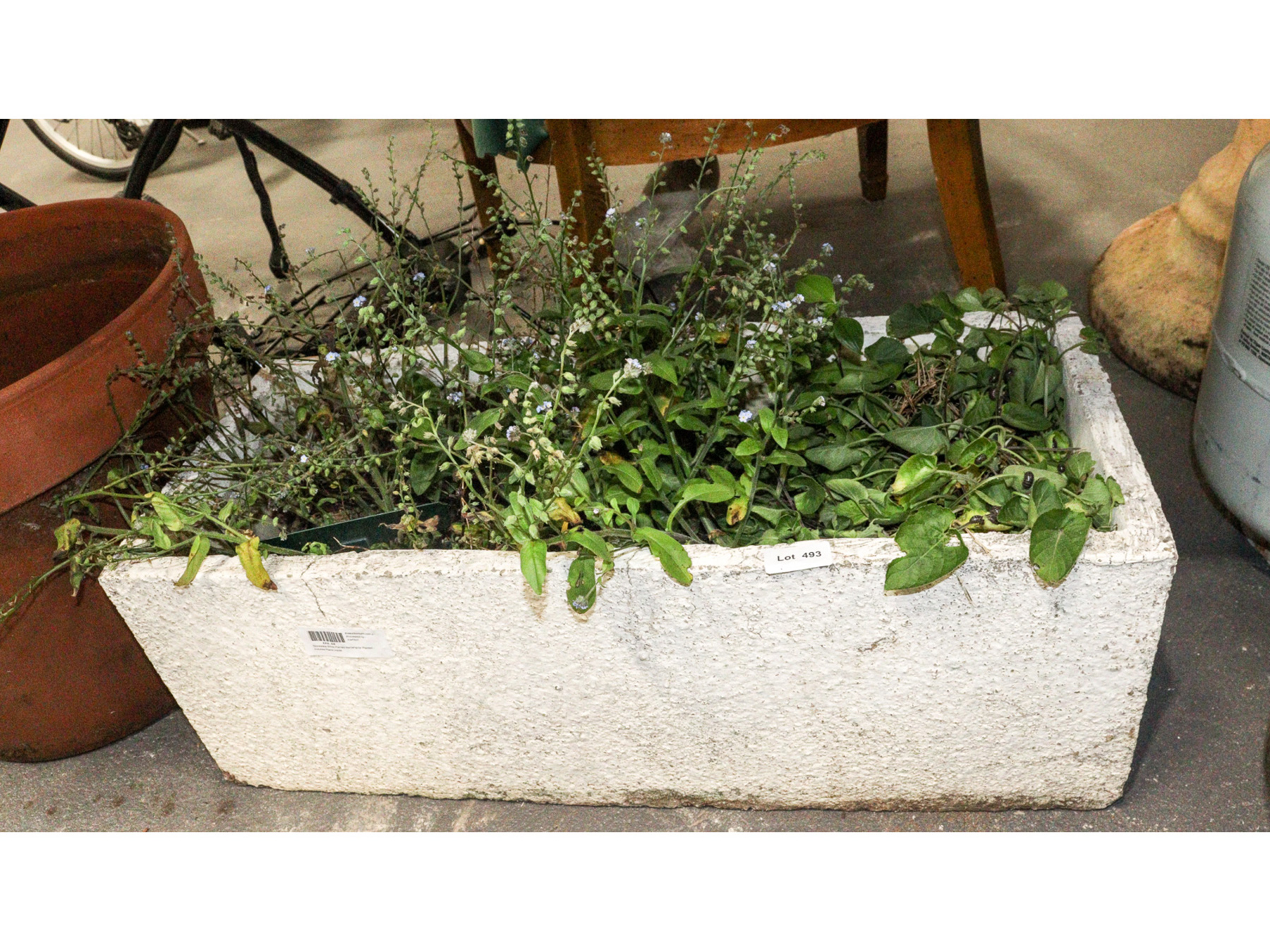 Lot 493 - Image 2