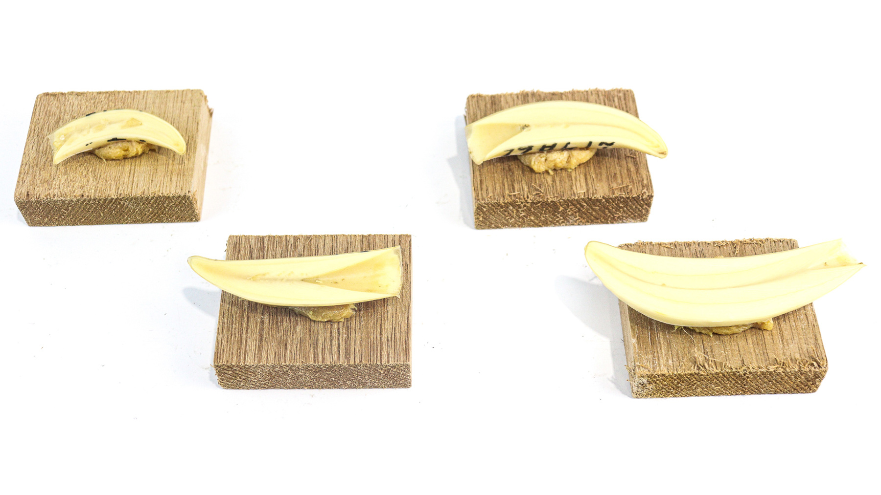 Lot 131 - Image 2