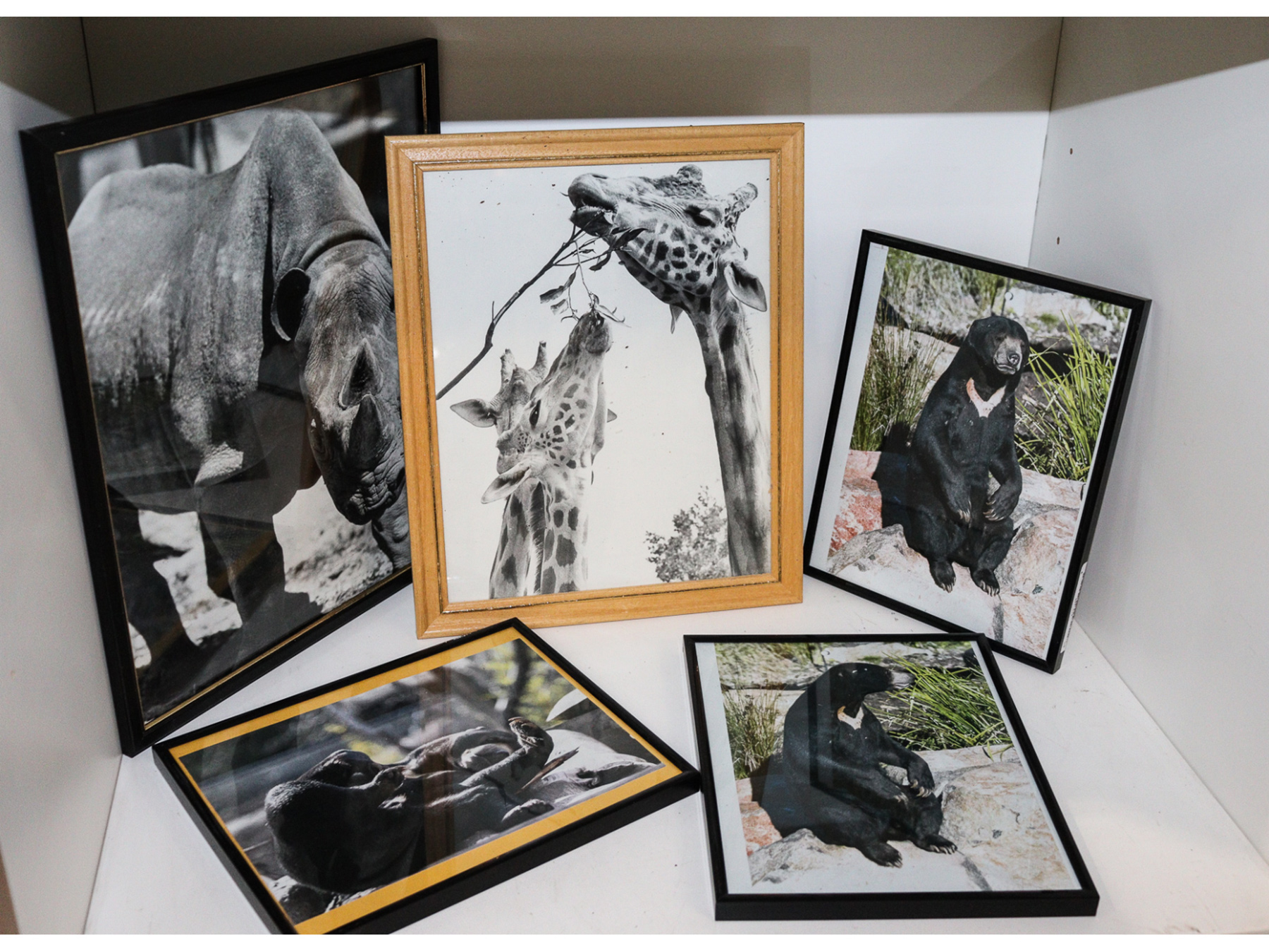 Lot 166 - Image 2