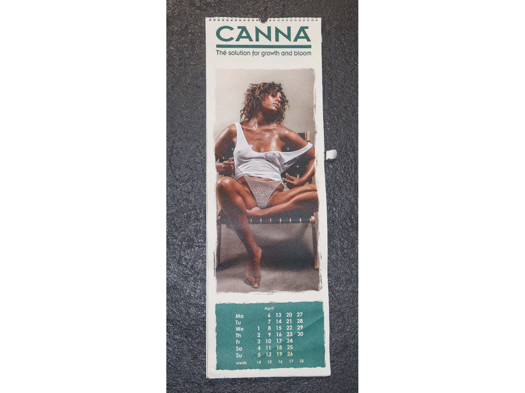 Lot 170 - Image 2