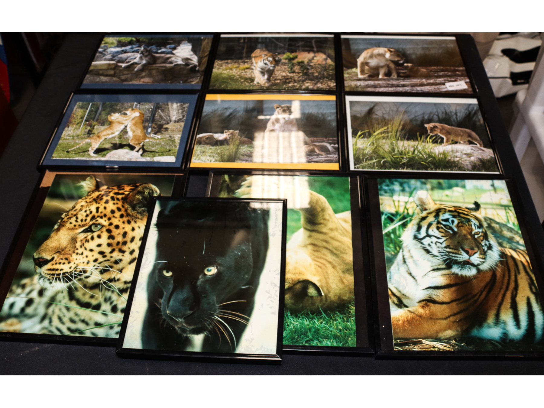 Lot 358 - Image 2
