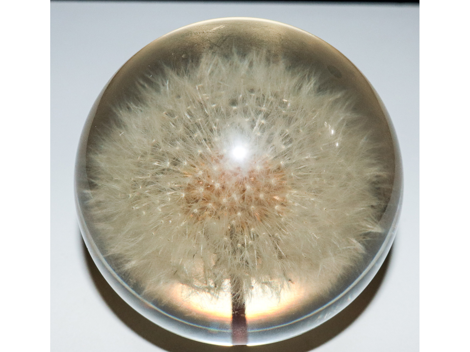 Lot 37 - Image 2