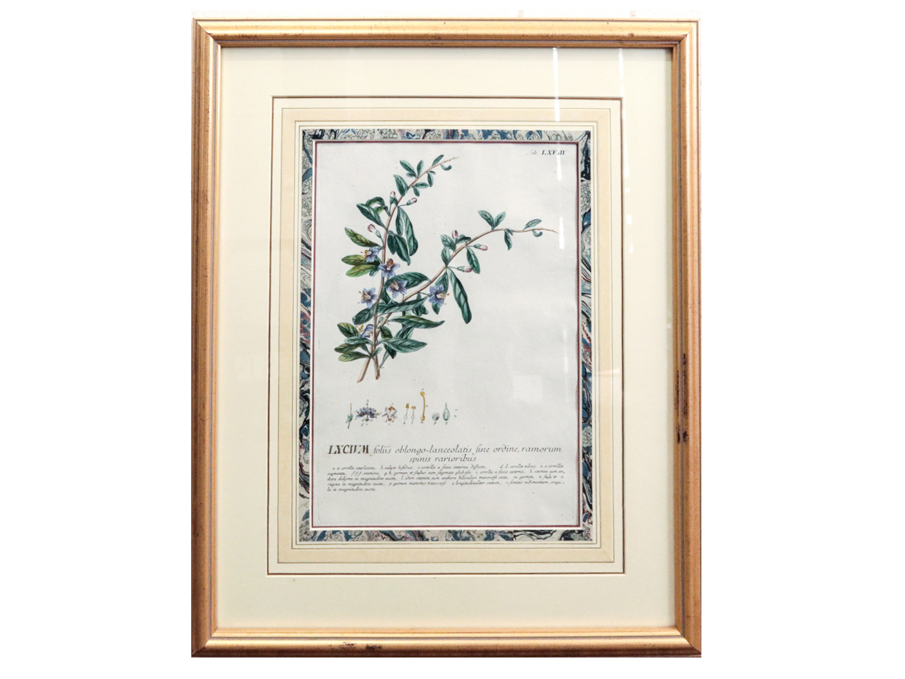 Lot 14 - Image 2
