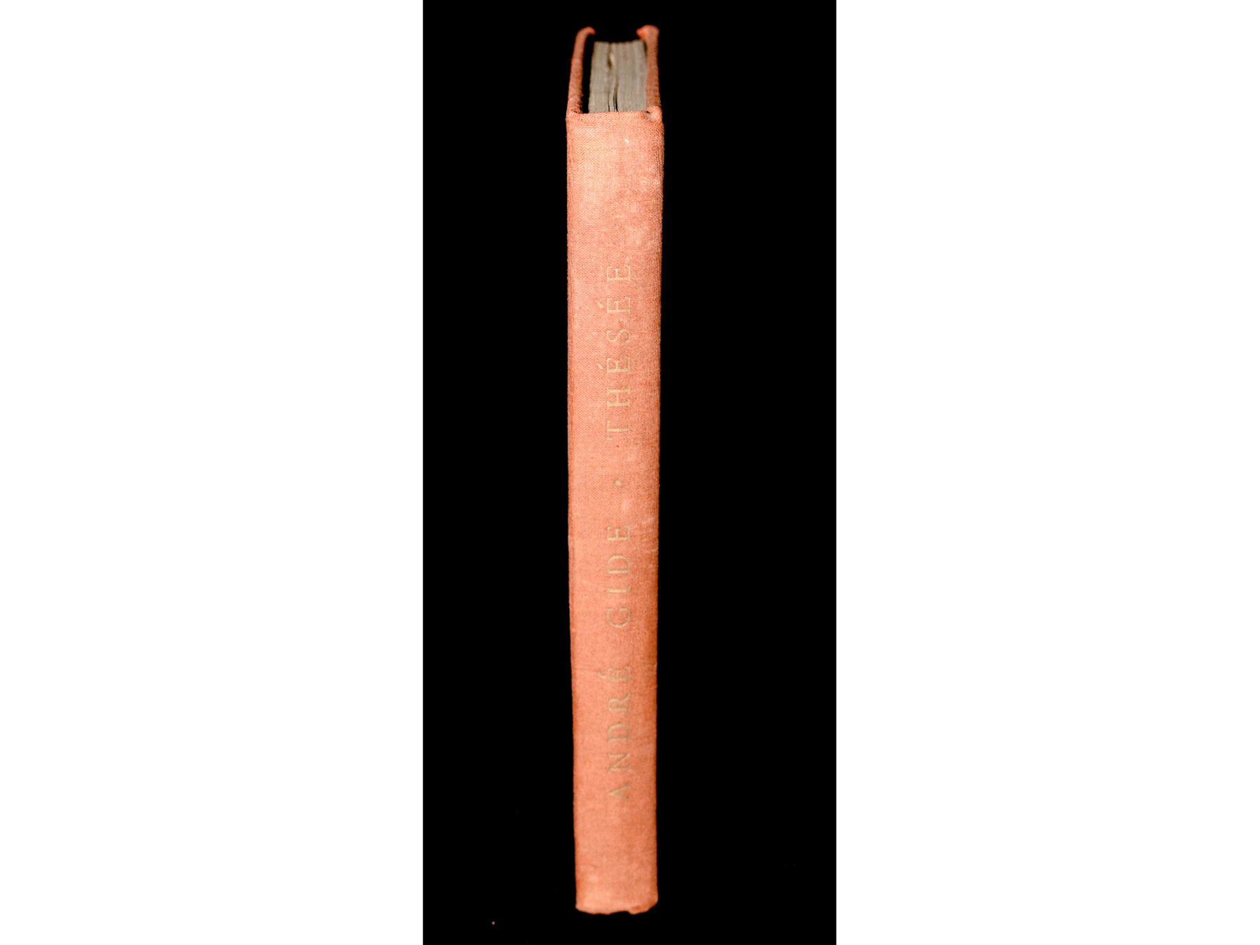 Lot 19 - Image 2