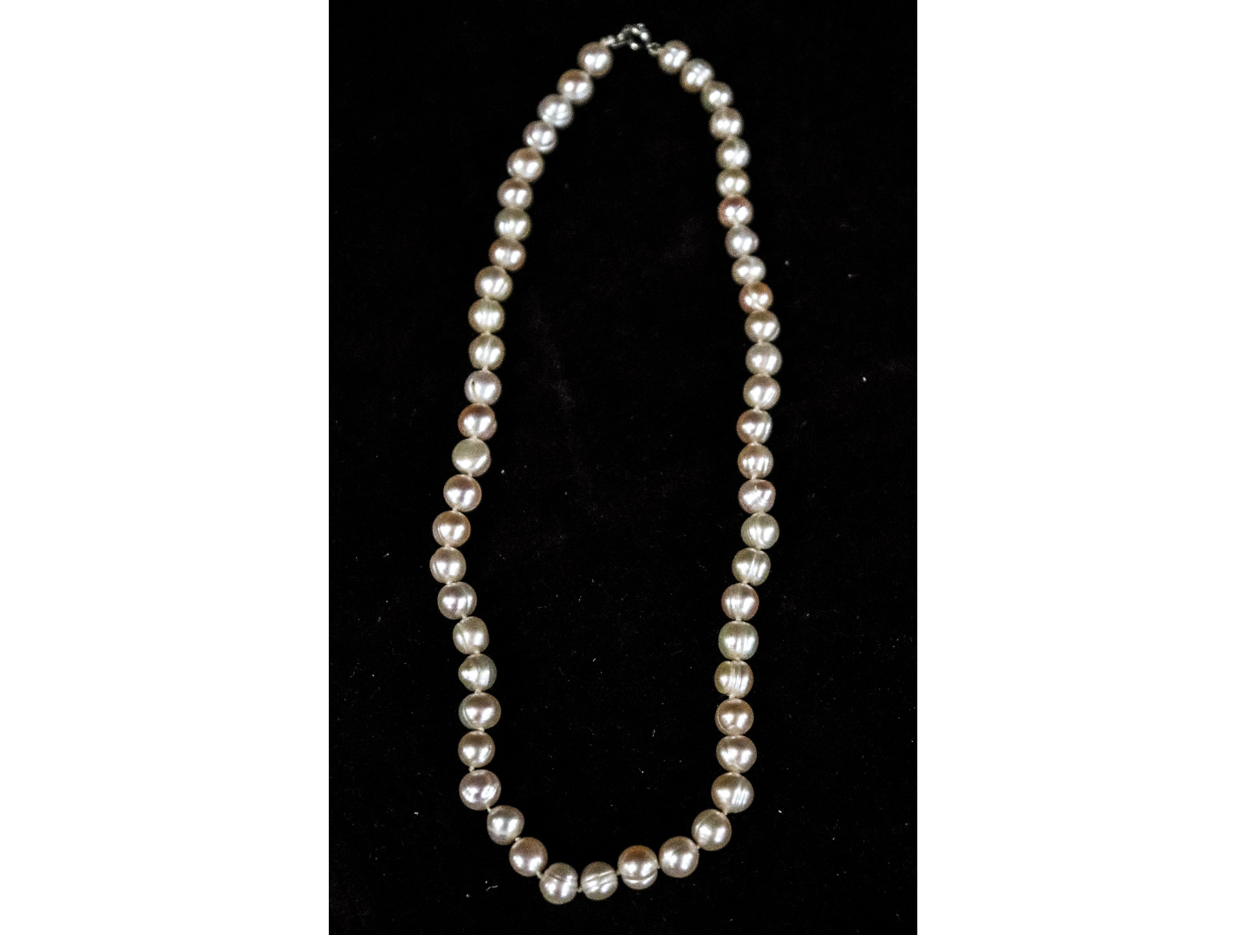 Lot 55 - Image 2