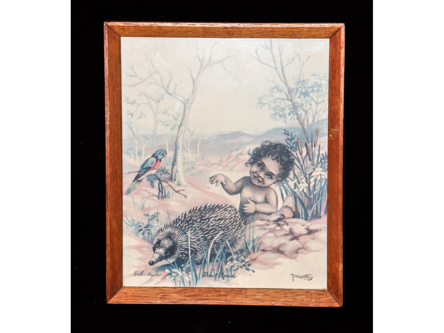 Lot 801 - Image 2