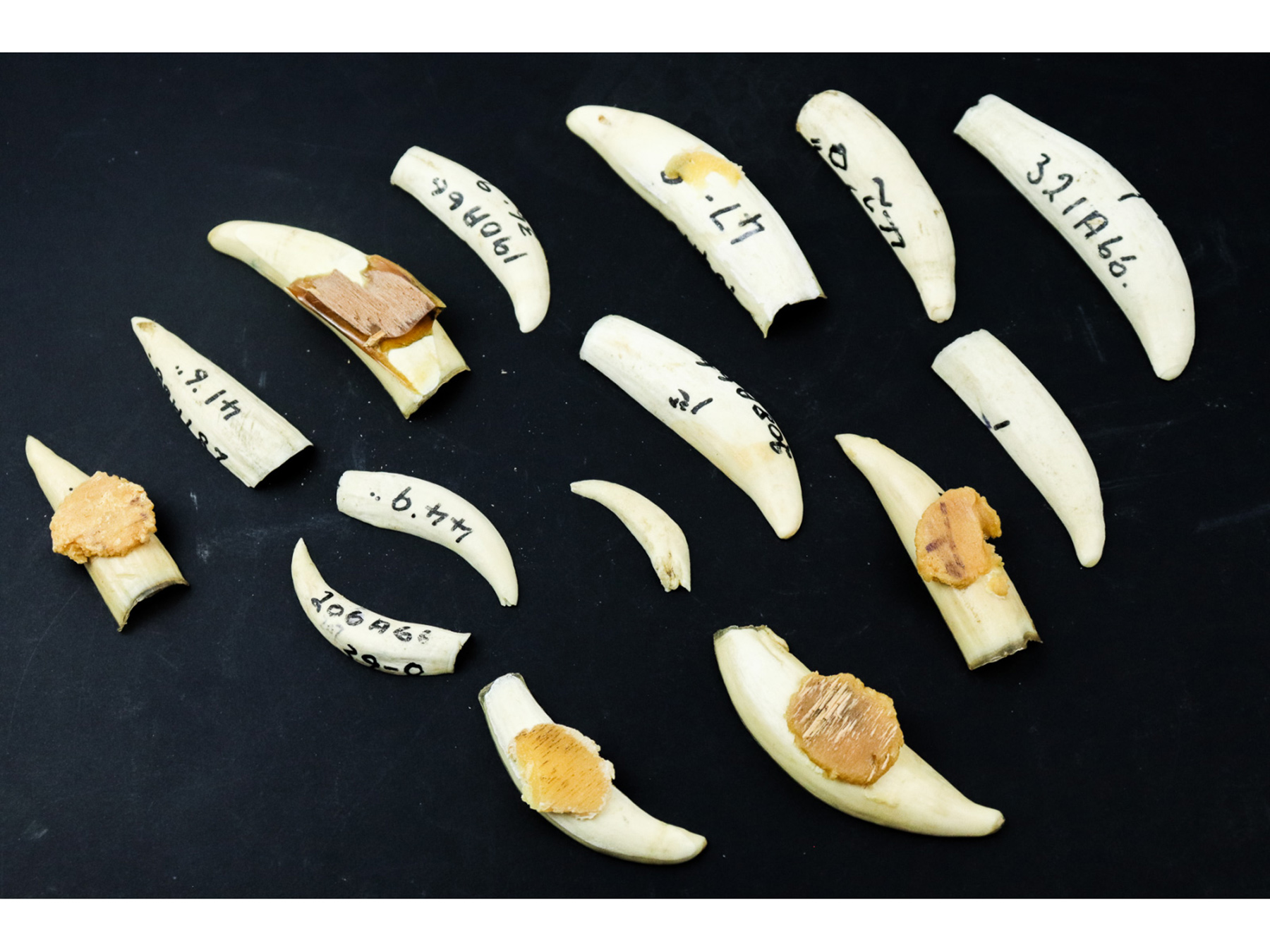 Lot 276 - Image 2