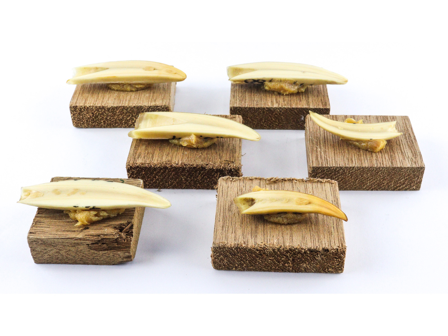 Lot 33 - Image 2
