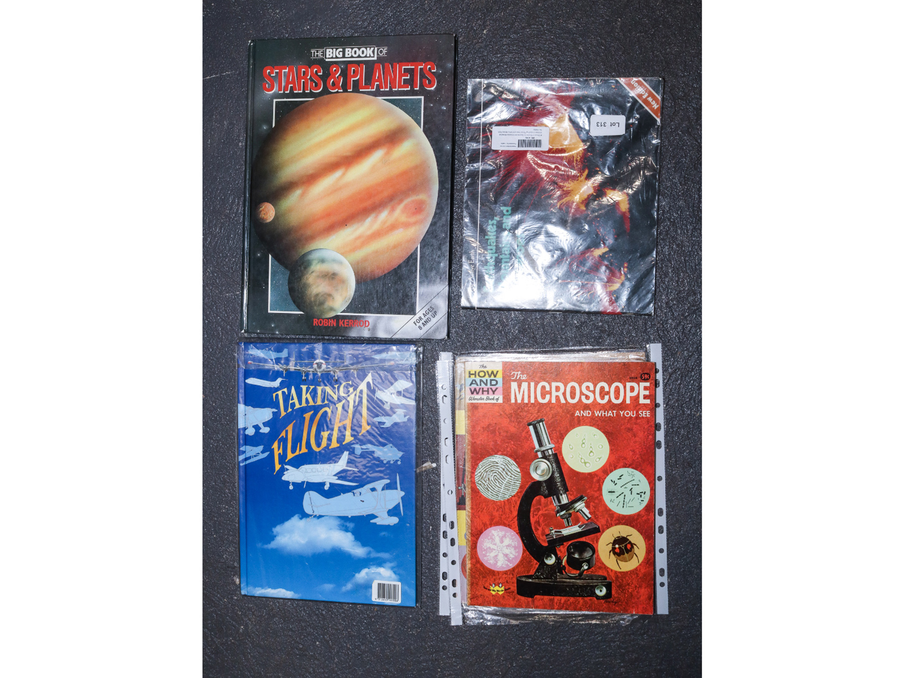 Lot 313 - Image 2