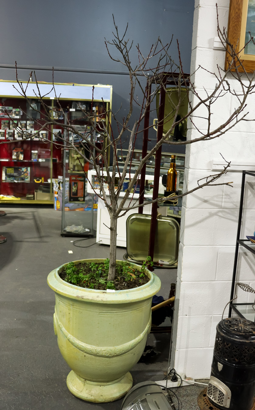 Lot 335 - Image 2