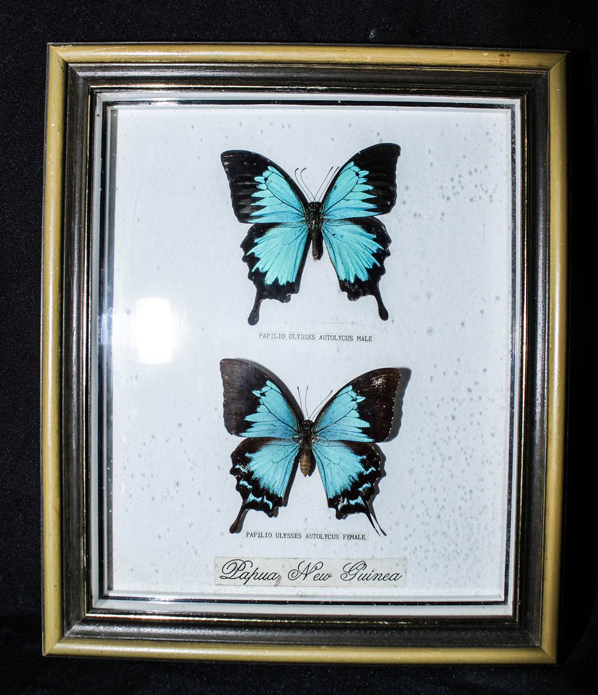 Lot 430 - Image 2