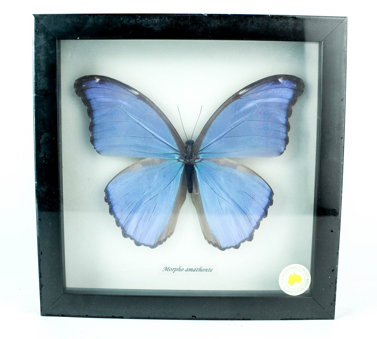 Lot 589 - Image 2