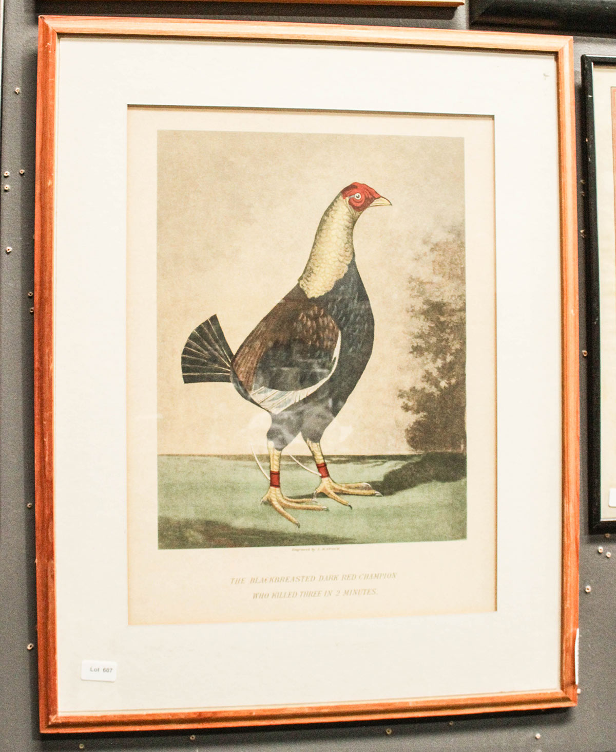 Lot 607 - Image 2