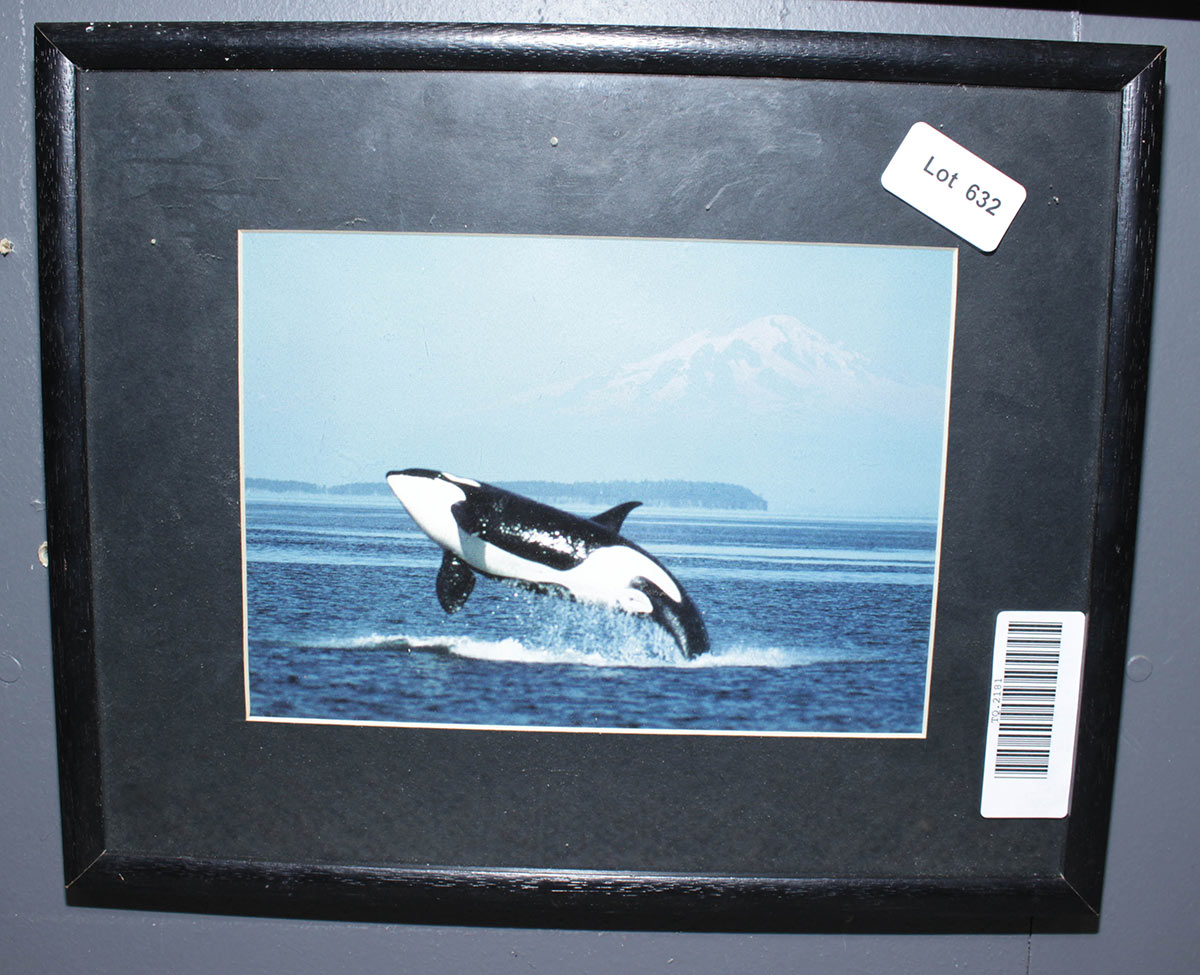Lot 632 - Image 2