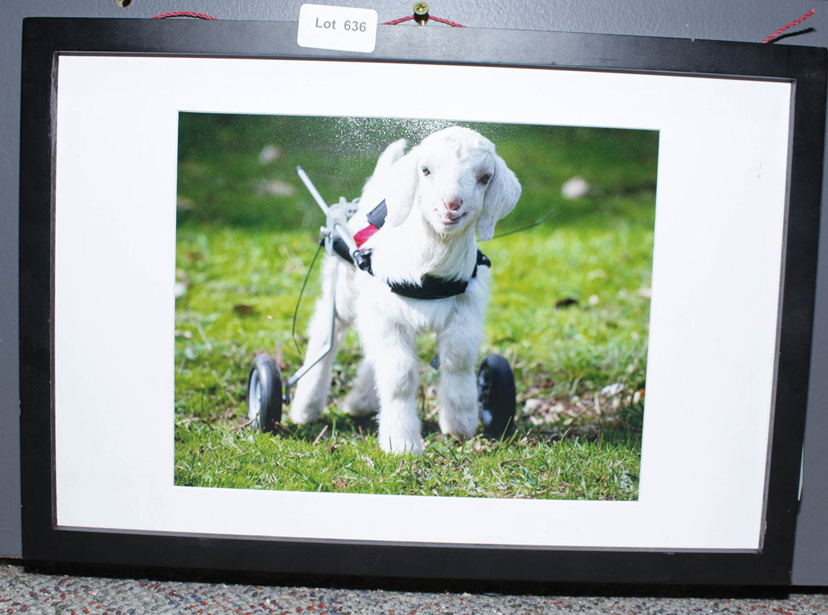 Lot 636 - Image 2