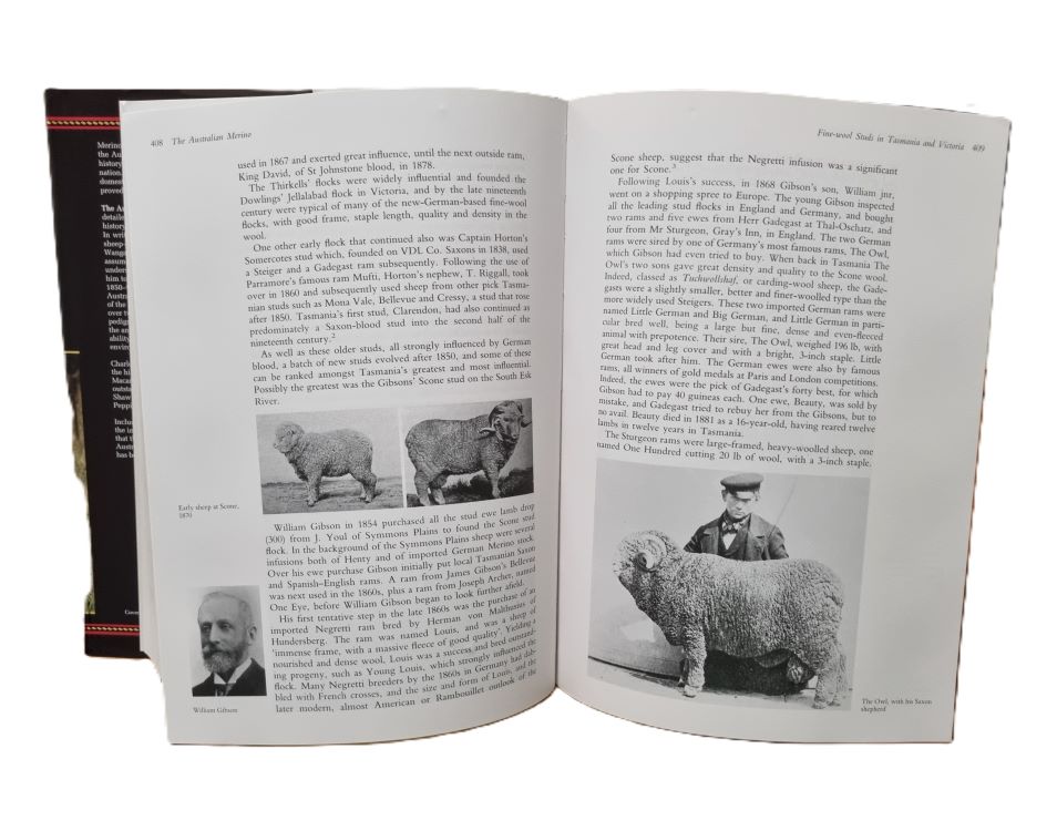 Image 20250913_214613.jpg