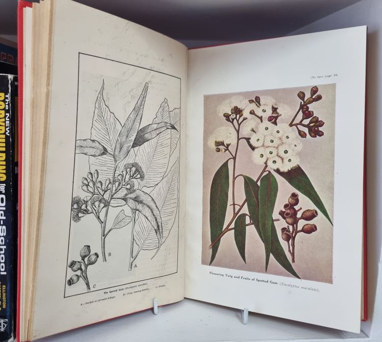 Image 20251130_140154.jpg